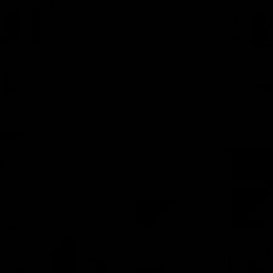 Meet your Posher, Dakota